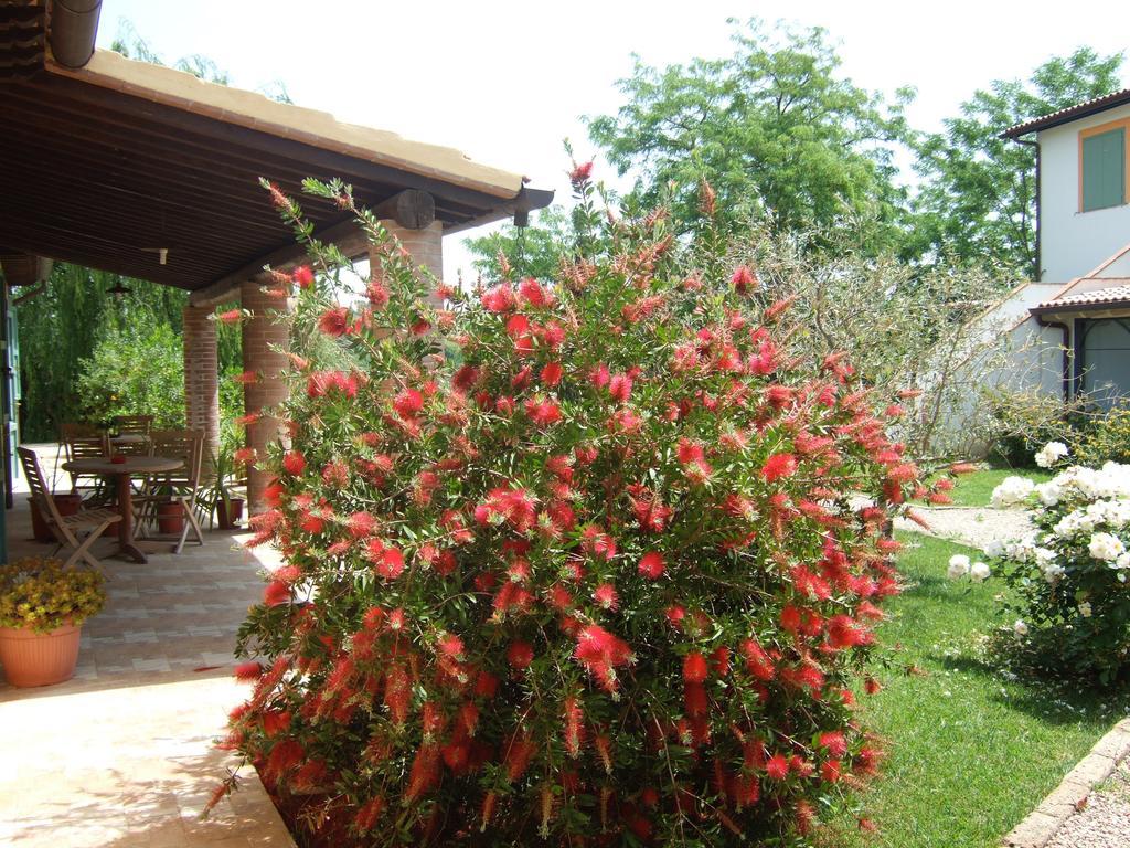 Agriturismo Quartopodere Magliano in Toscana Exterior photo